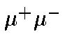 $\mu^+\mu^-$