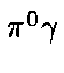 $\pi^0\gamma$